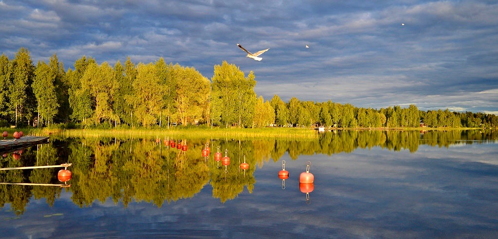 Järvi ja rantamaisema ilta-auringossa