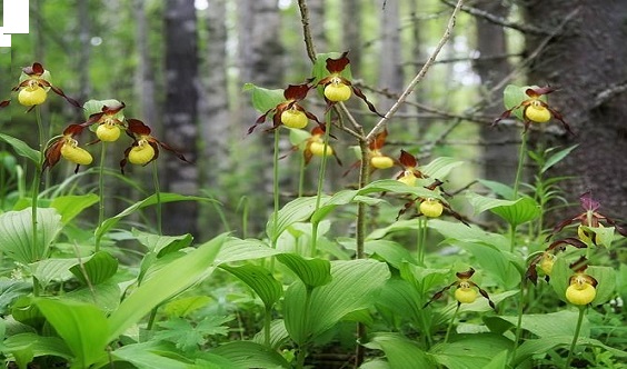 toukokuun kktapaaminen