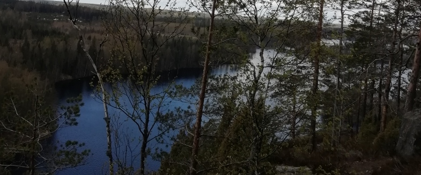 Haukkavuori