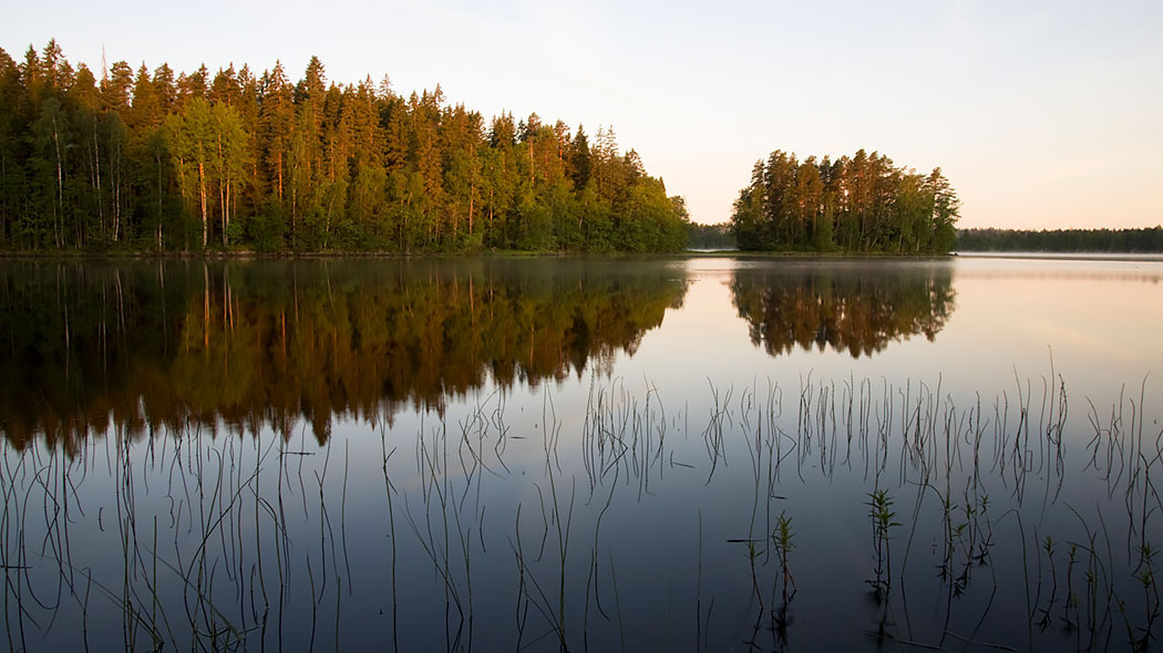 Liesjärven kansallispuisto
