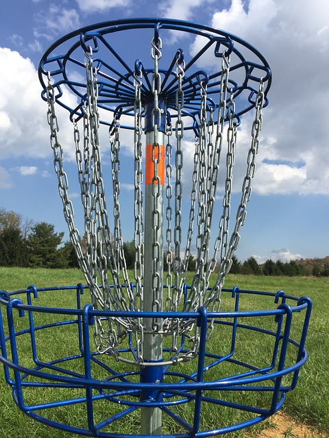 Pelataan frisbeegolfia