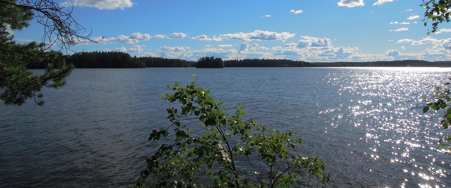 kesäinen maisema