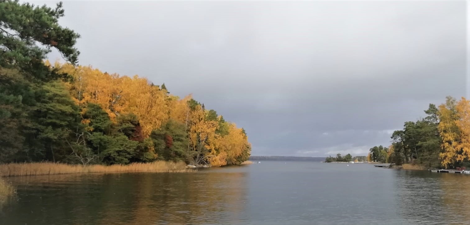 El-kivijärvi 27.10.19