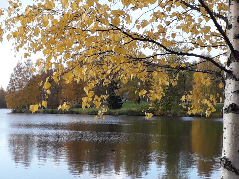 Kajaanin kaupunginlampi ruskakuva