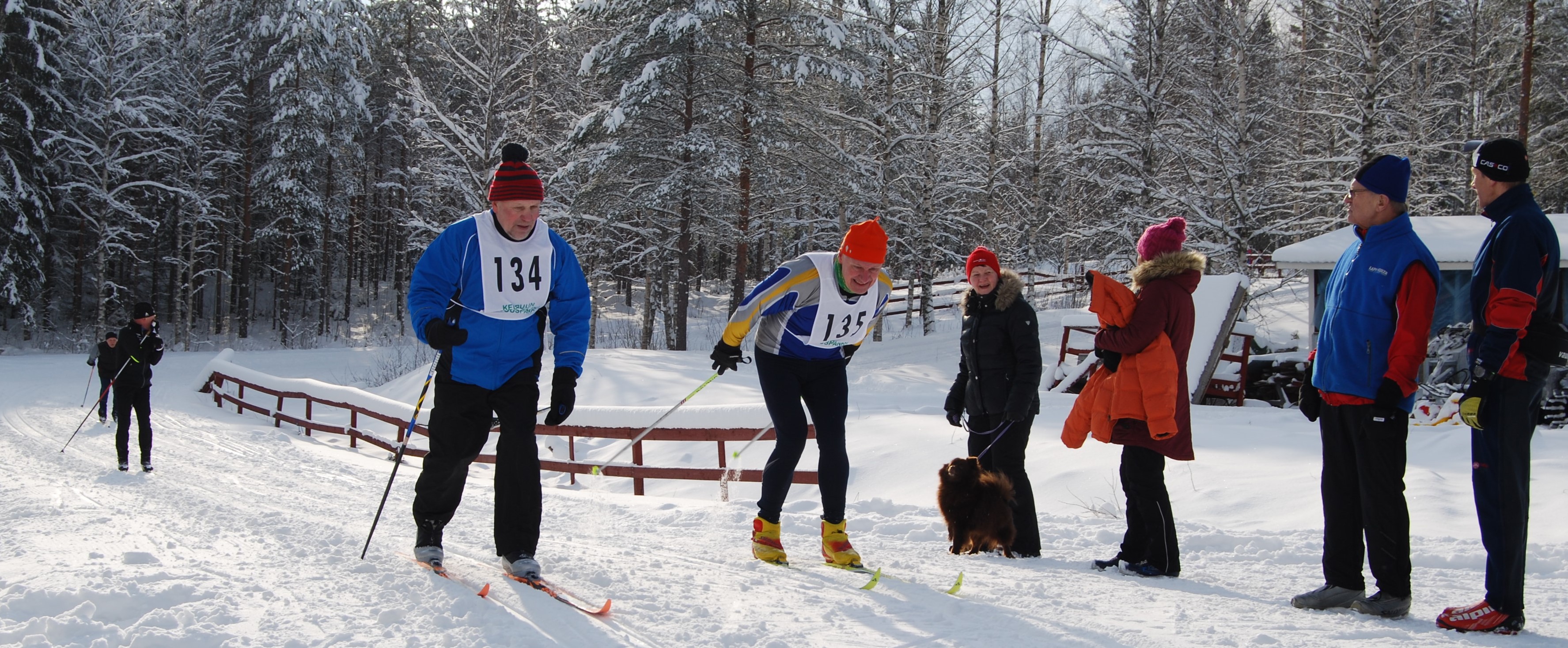 hiihtokilpailu