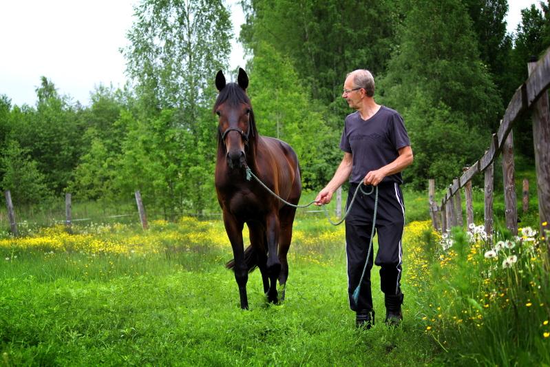 Antti Laukkonen taluttaa hevosta