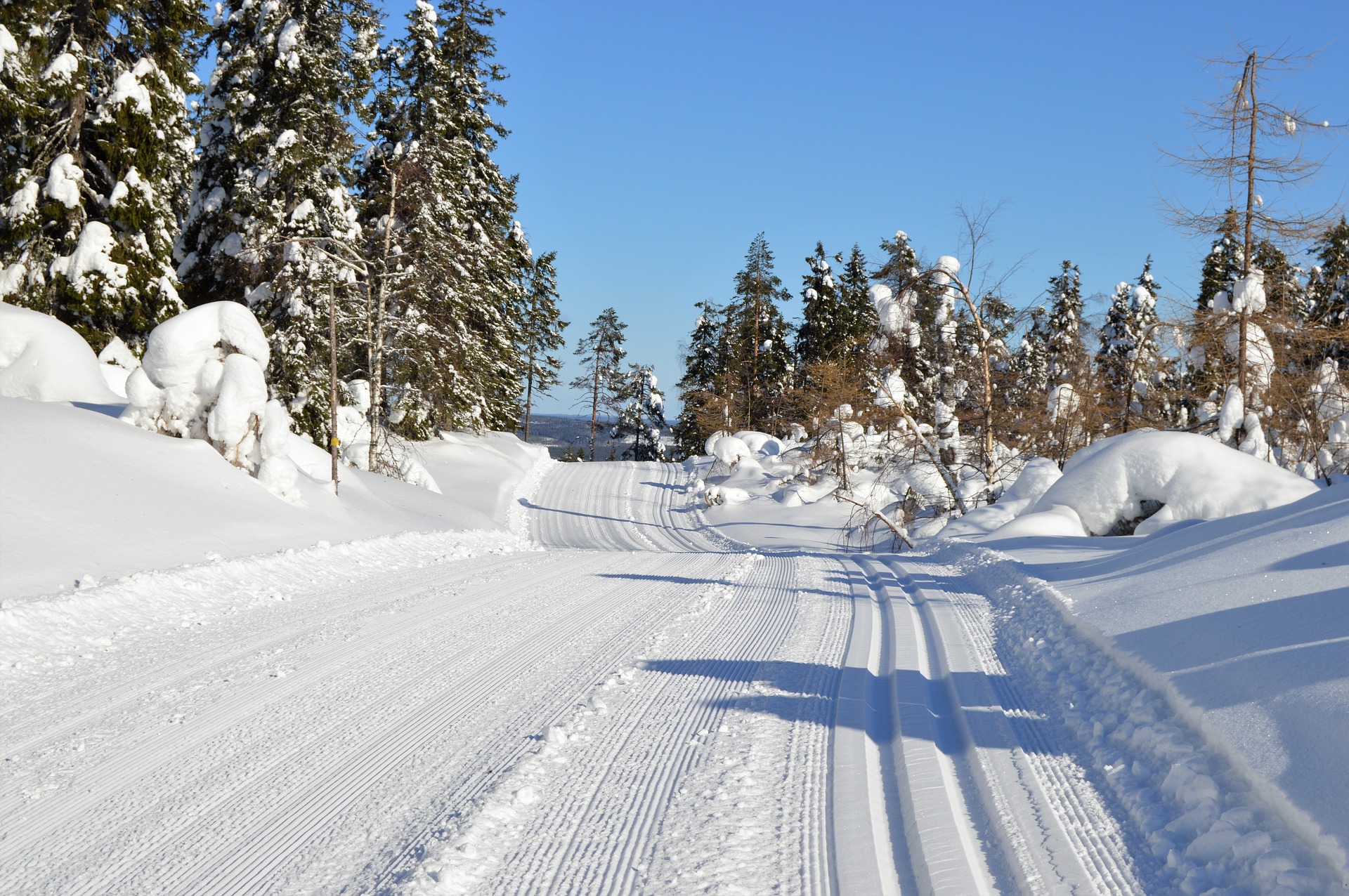 Hiihtoladut metsässä