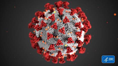 Koronavirus