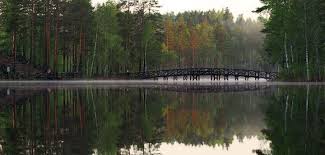 Luontokirkko