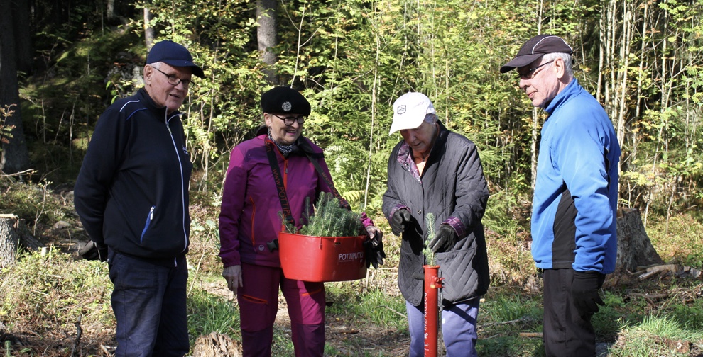 Tampere metsä
