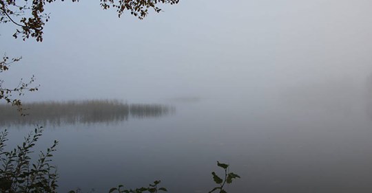Tervetuloa mukaan