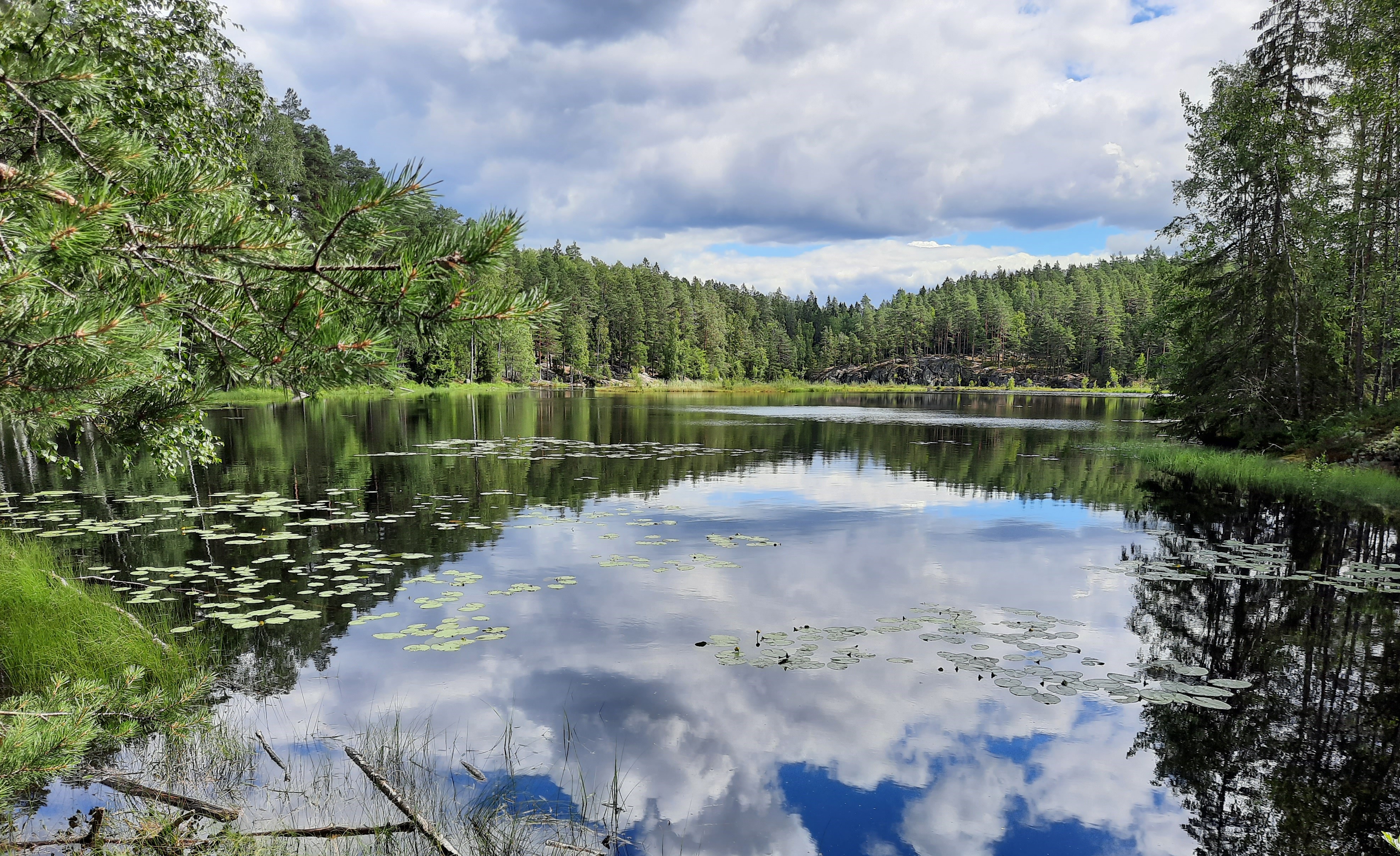 Kivijärven EL kevätretki 2021