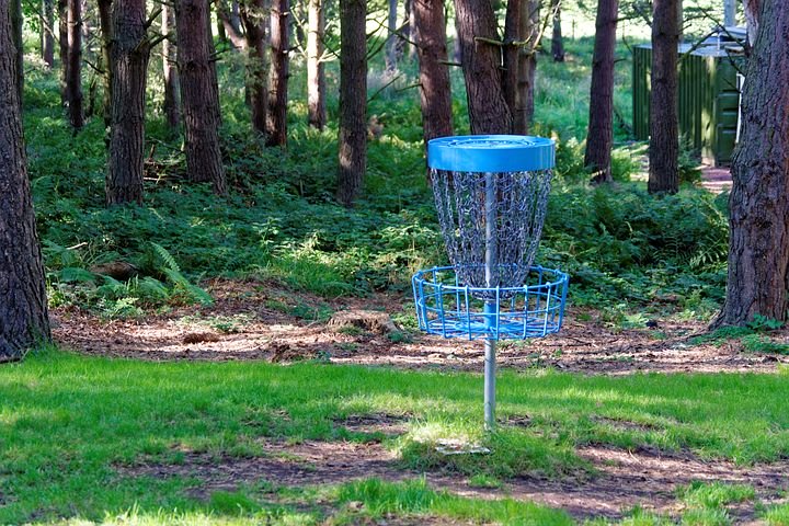 Frisbeegolfin maali metsän siimeksessä