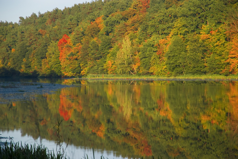 Ruskainen metsä heijastaa järveen