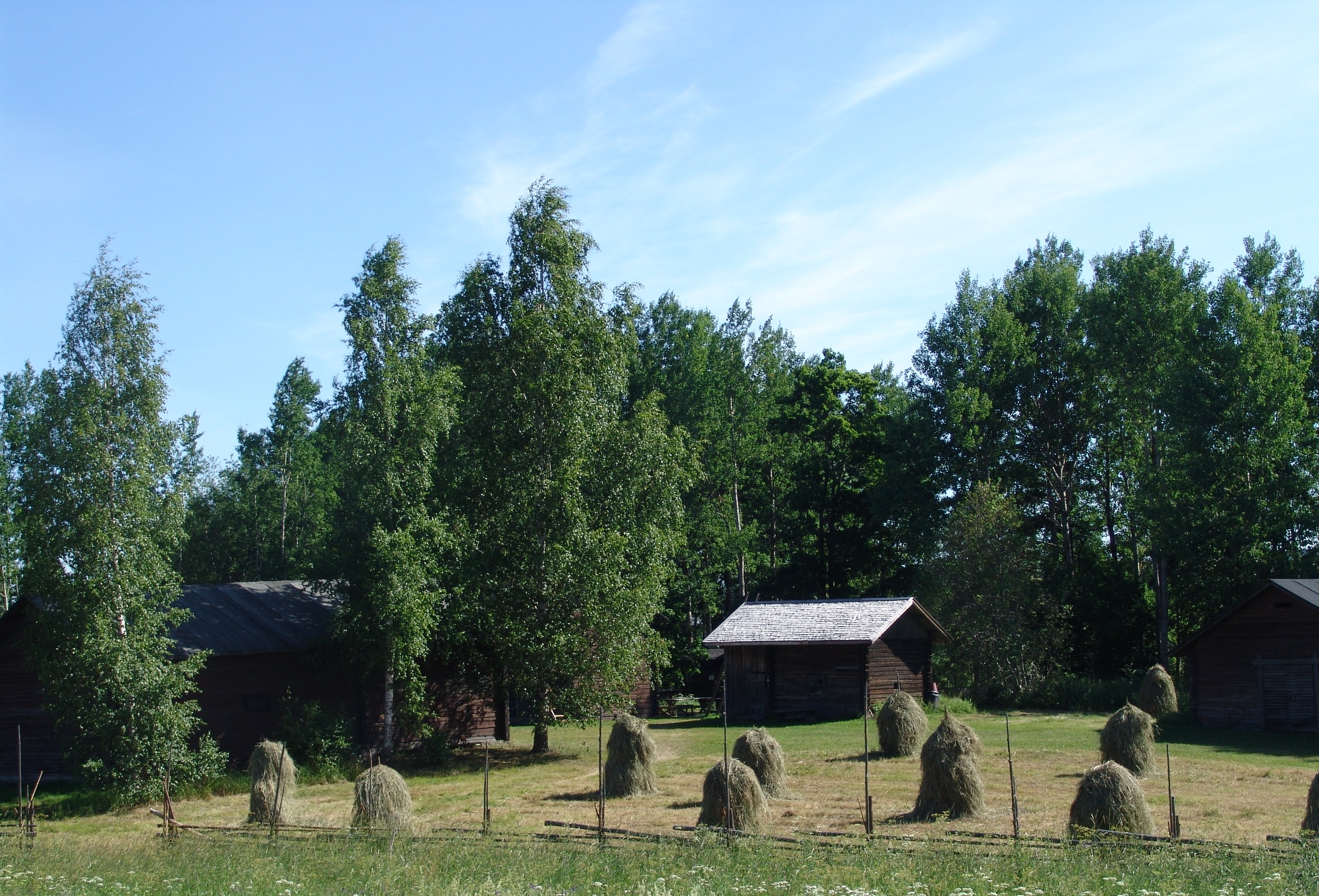 Elimäen museon heinäpelto
