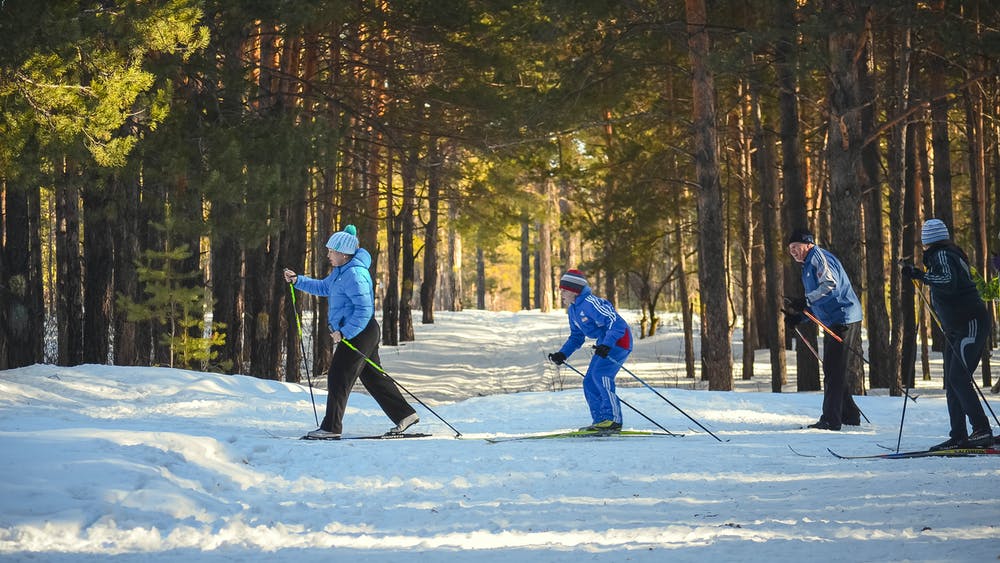 Hiihtäjöt metsän siimeksessä