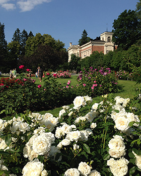 Hatanpään arboretum