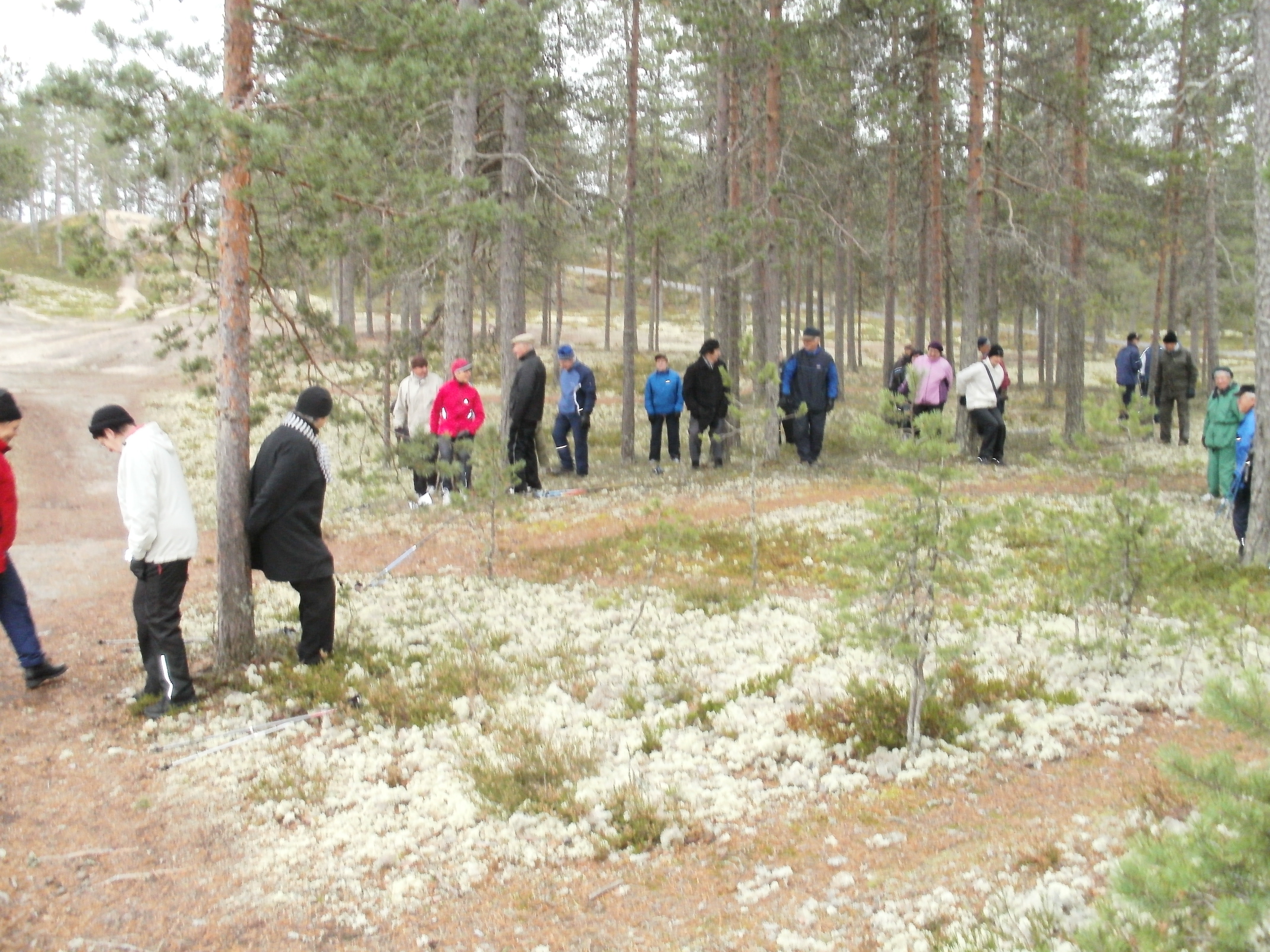 Luontoretkellä