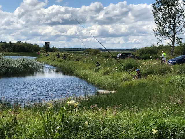 Rantaongintakisat Jalasjärvellä 14.7.2022