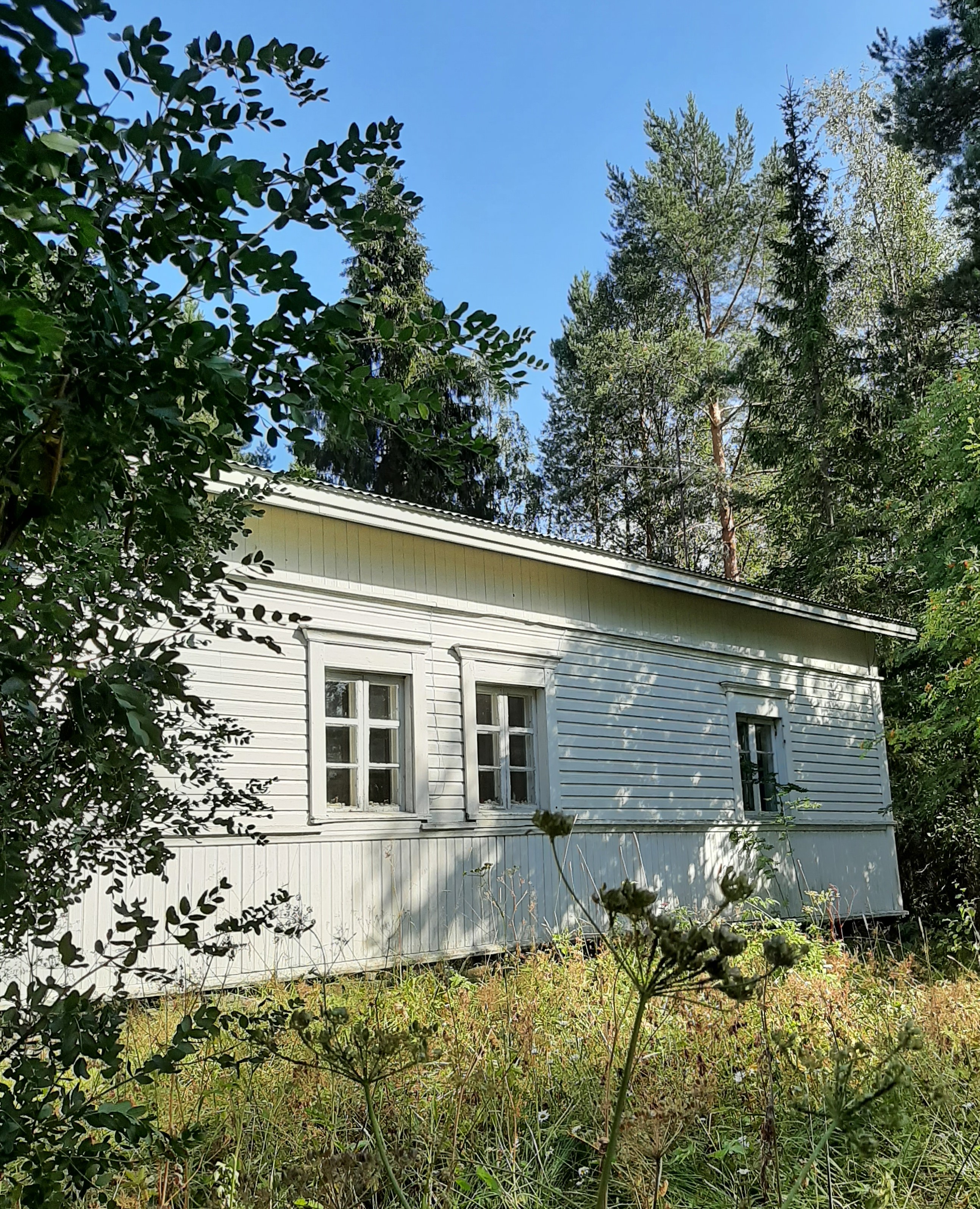 Pyörteen tila