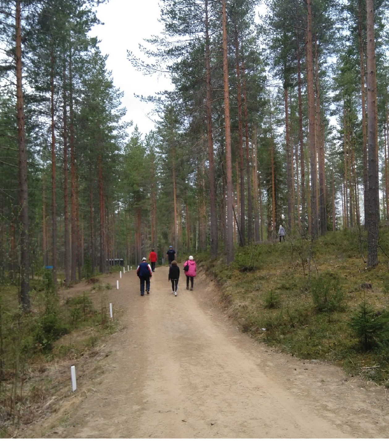 ulkoilijoita metsäpolulla
