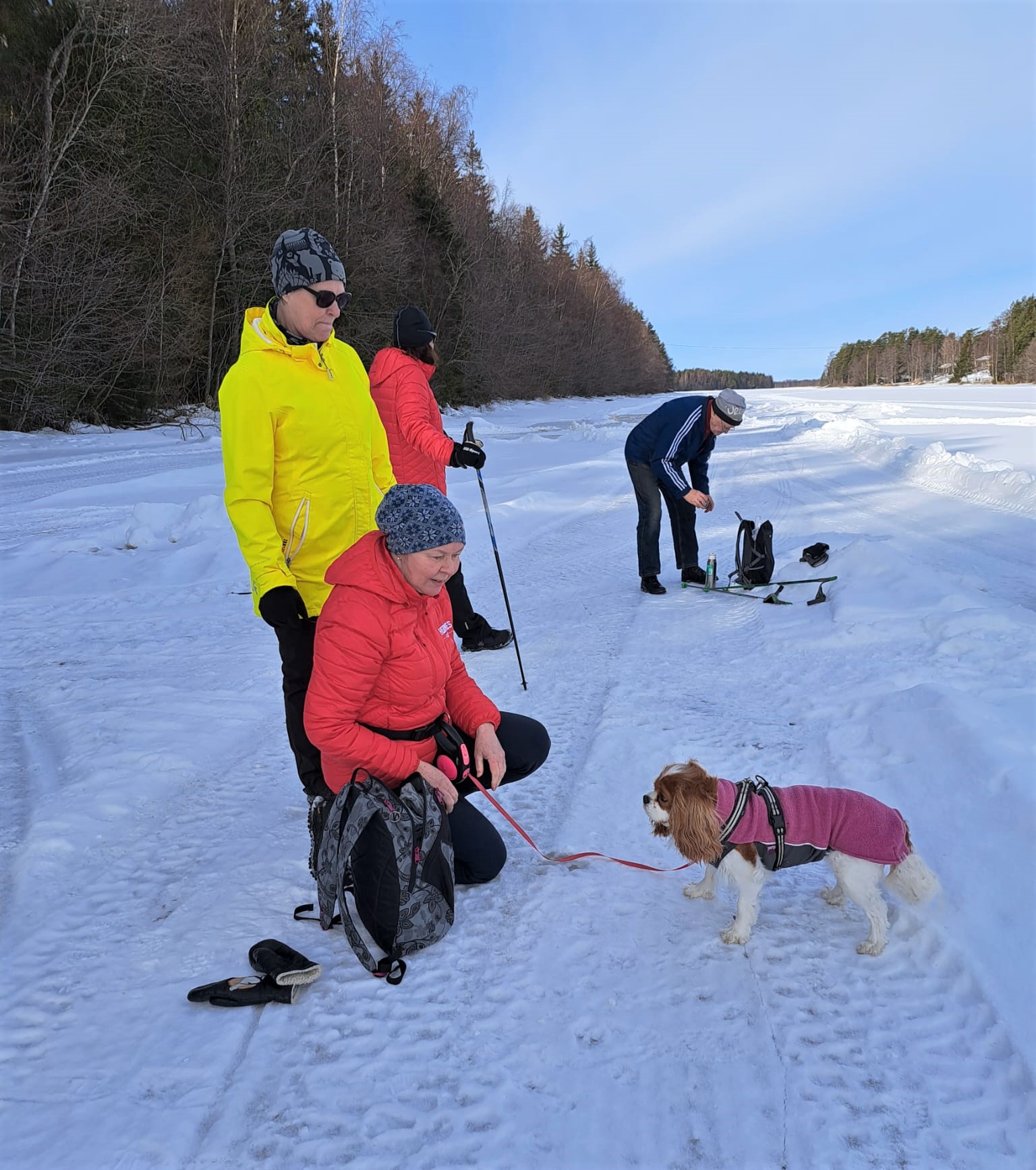 Taisi nauttia Mariannen spanieli Eevi-koira  hienosta retkestä. Tauko kuitenkin paikallaan.