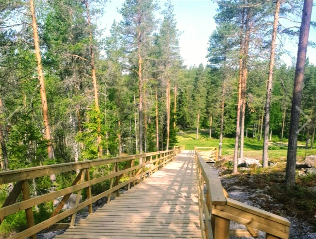 liikunta luonto 