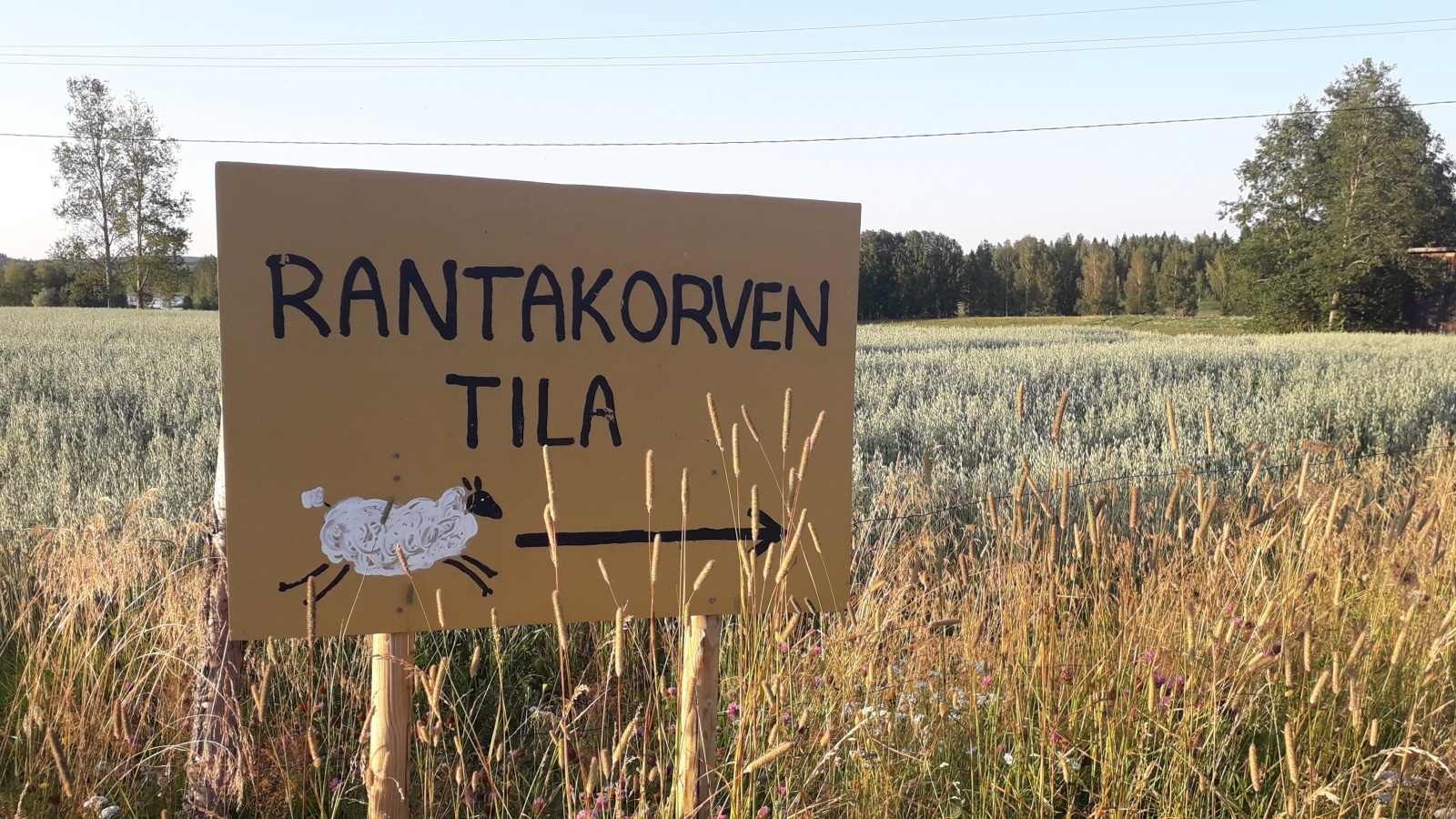 rantakorventila
