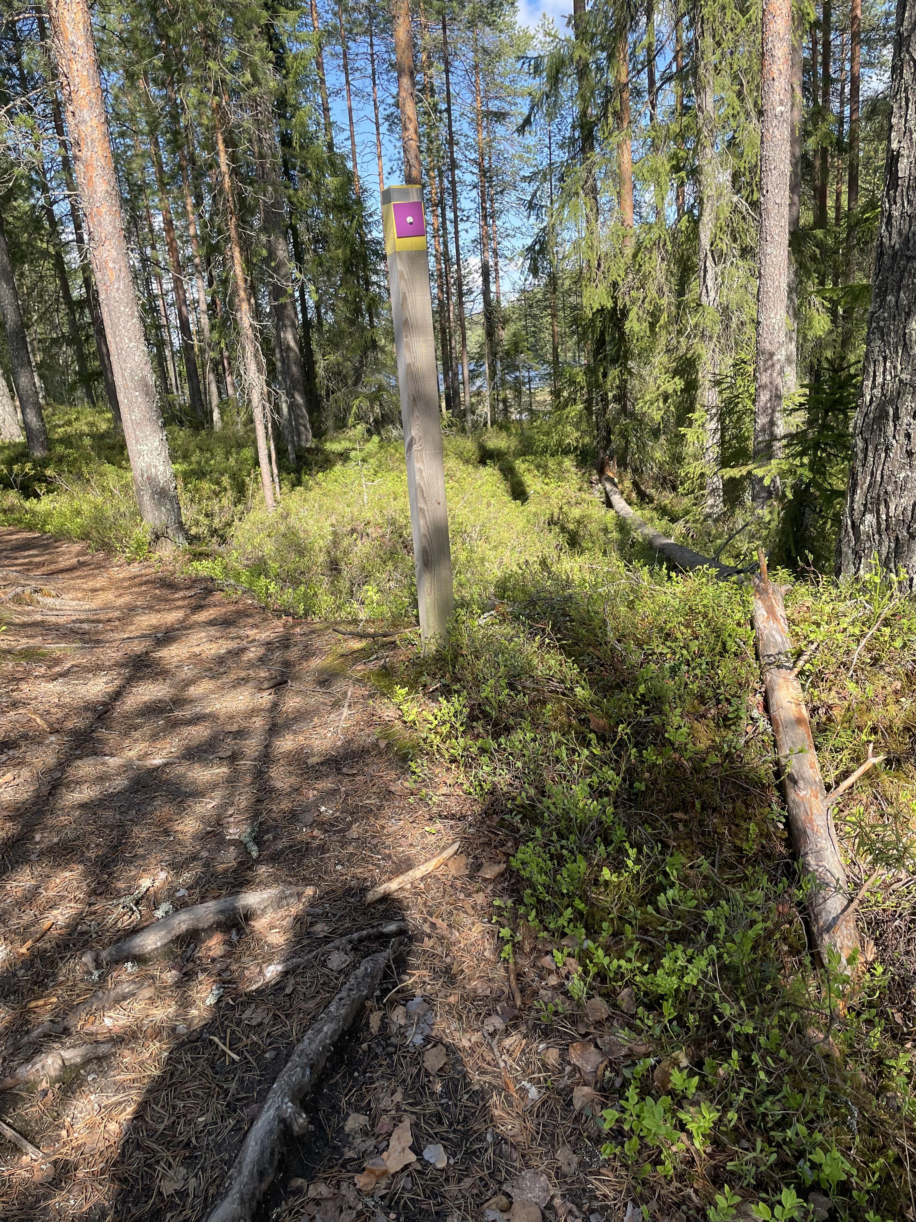 Luontopolku
