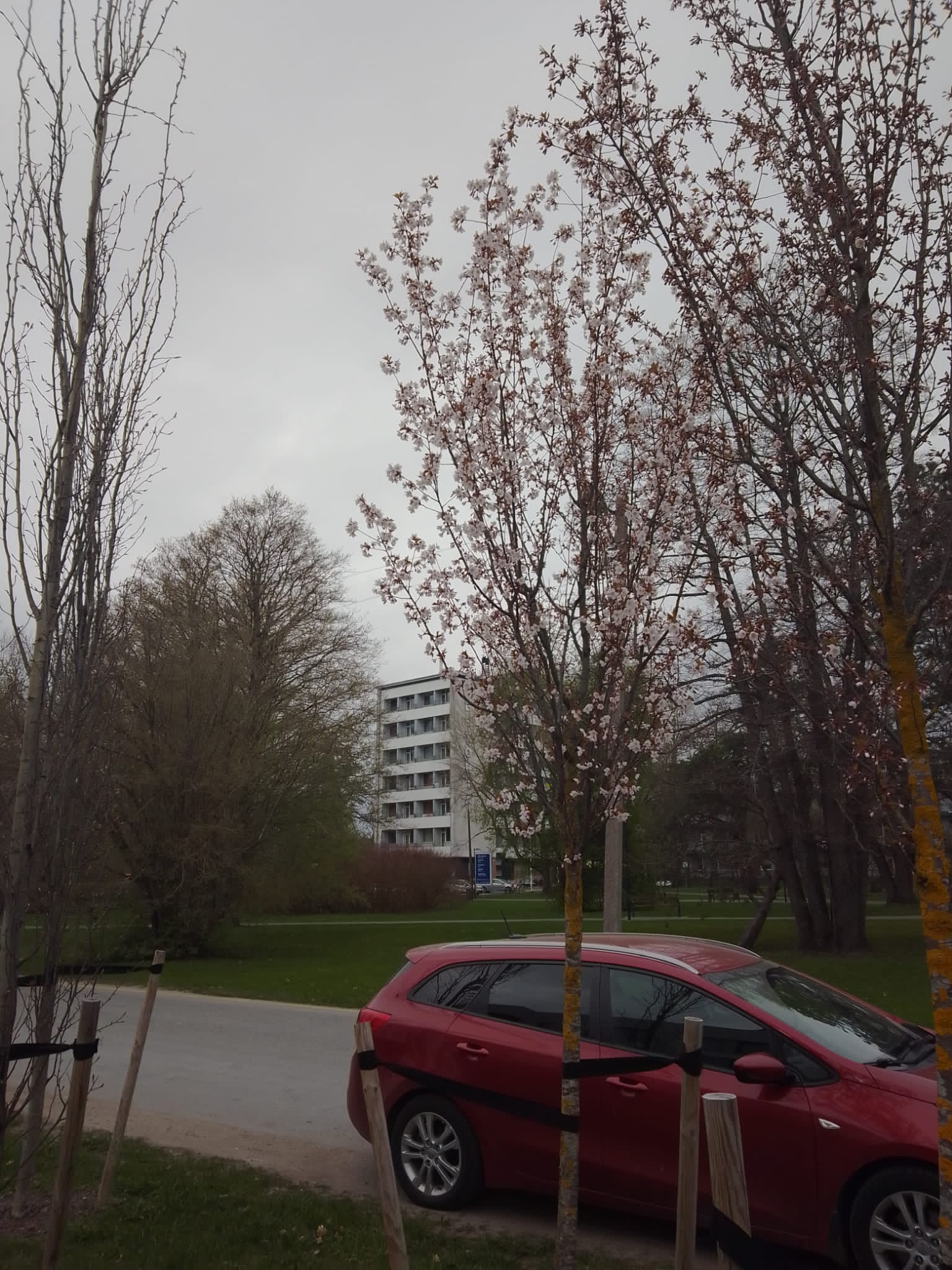 Pärnun Puistotalo