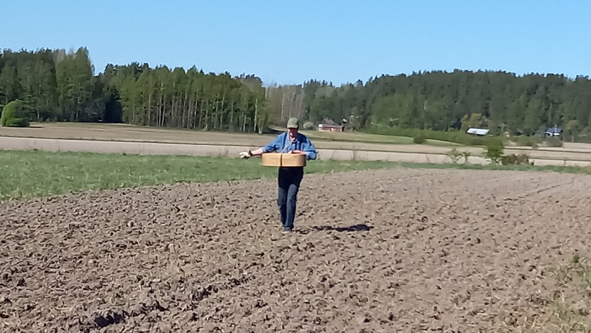 Viljan kylväjä