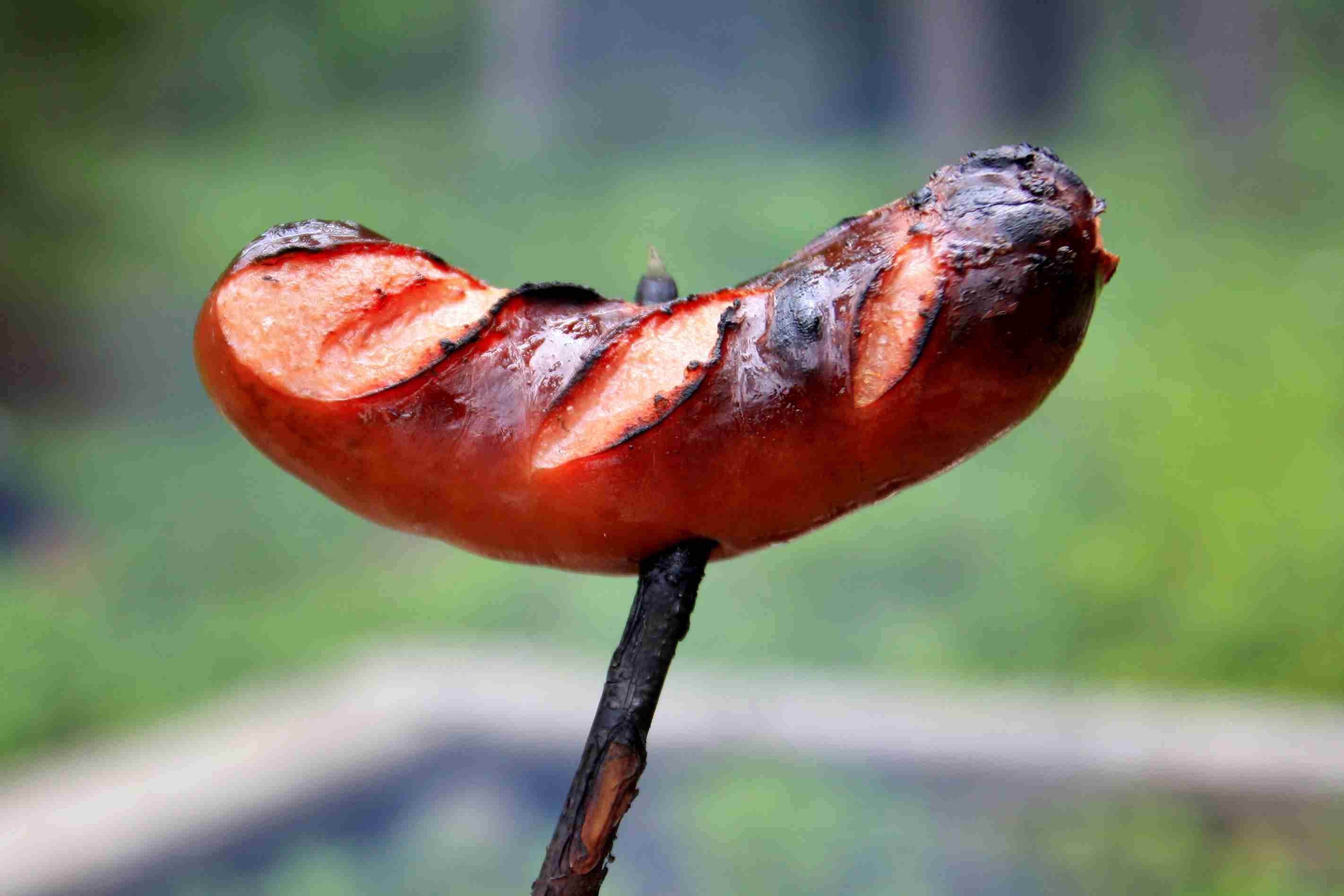 grillimakkara