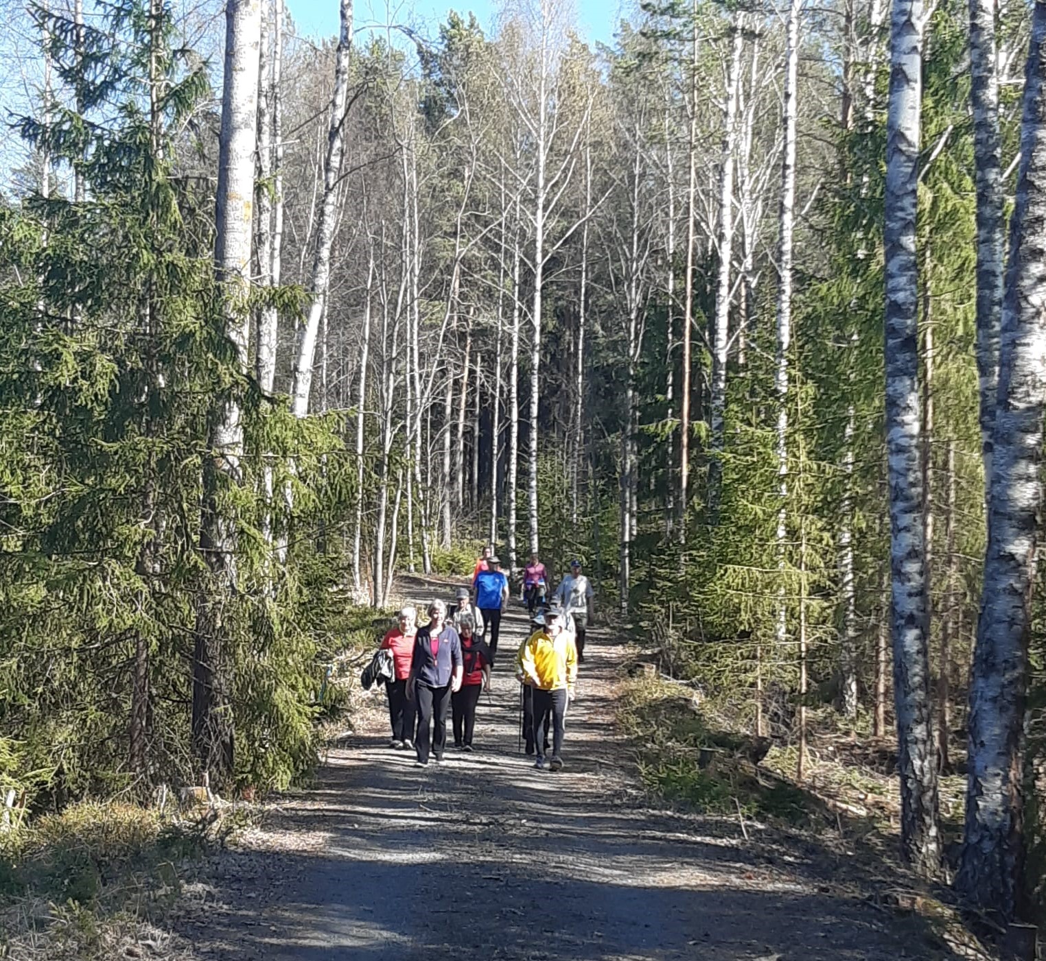 Patikoimassa