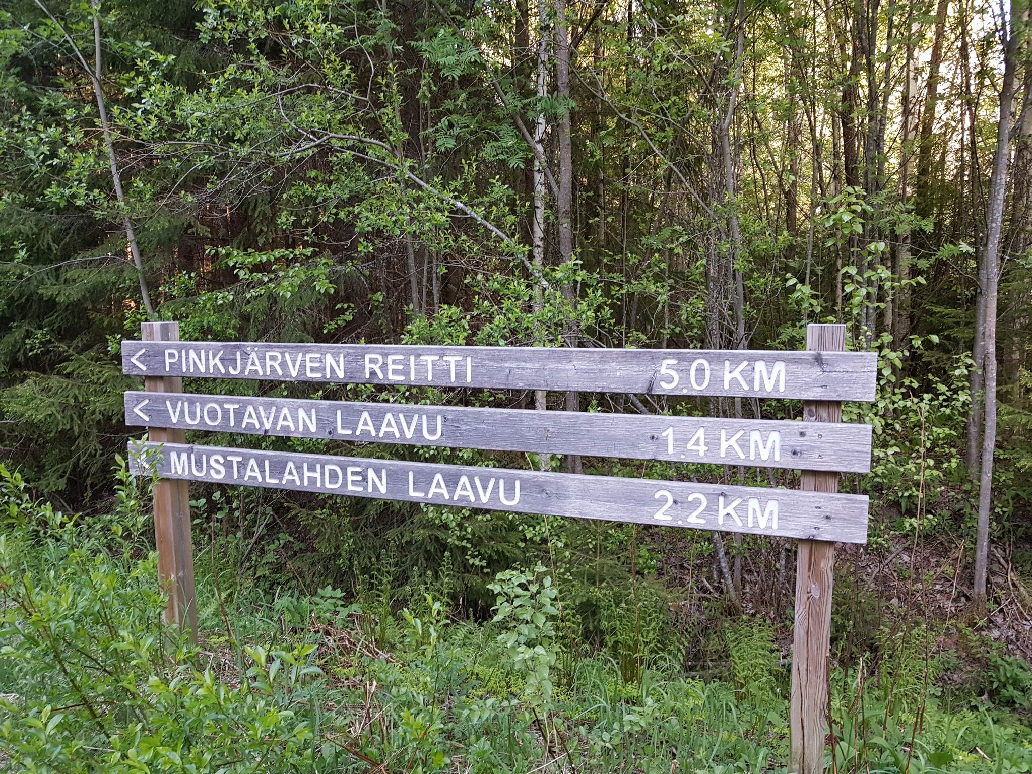Pinkjärven reitti