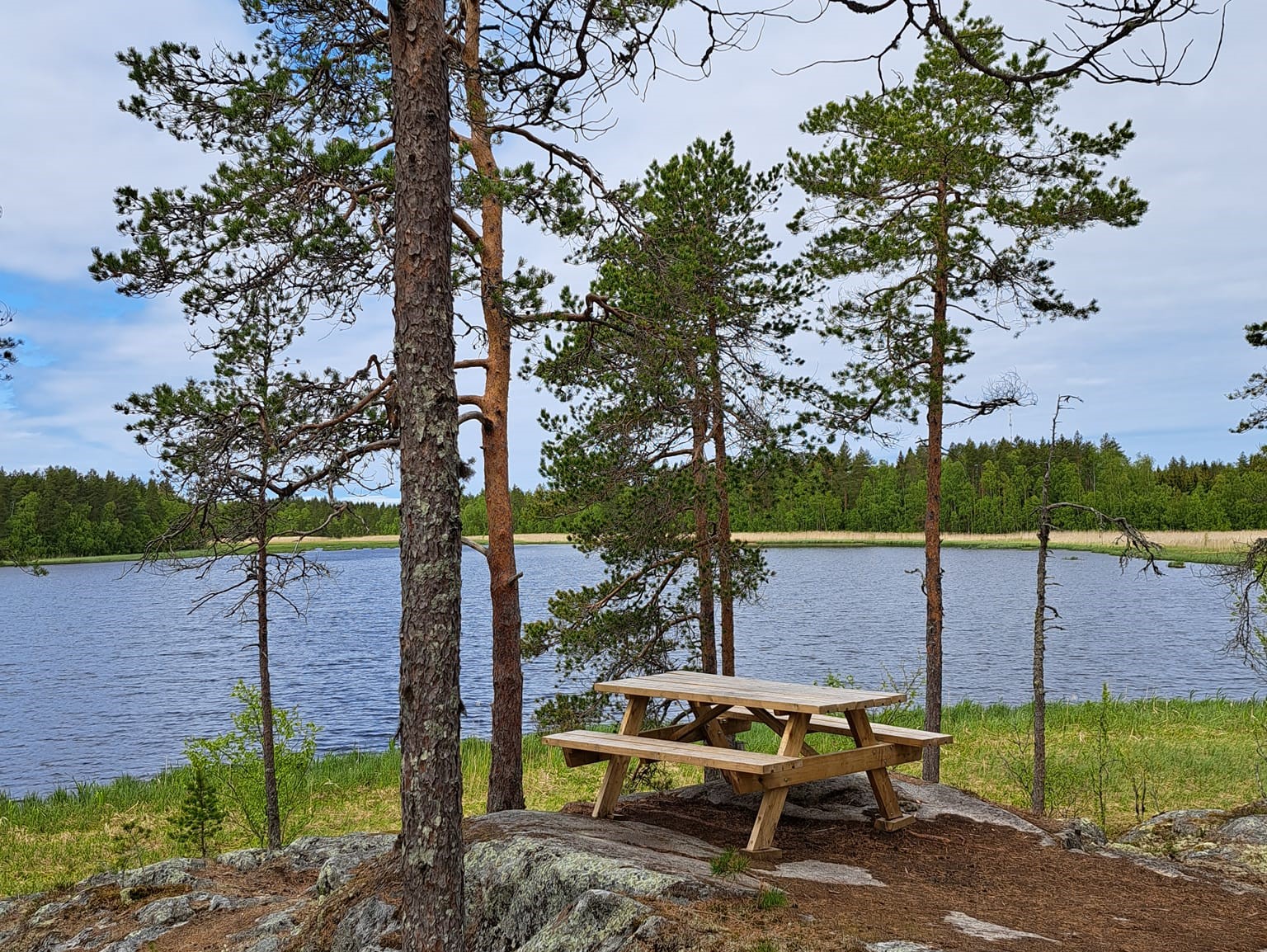 patikointia