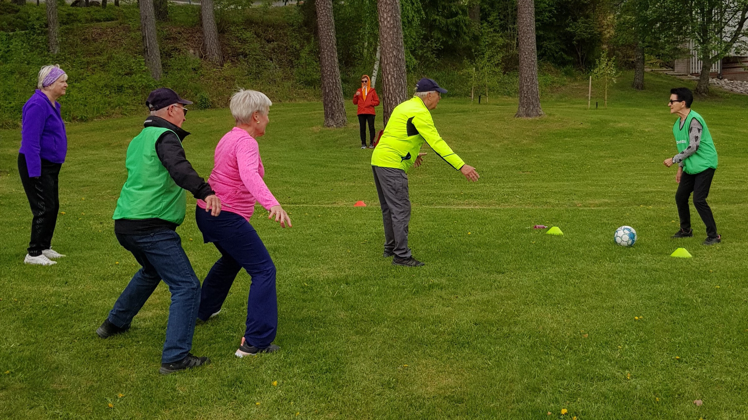 Lajit tutuksi kävelyfutis