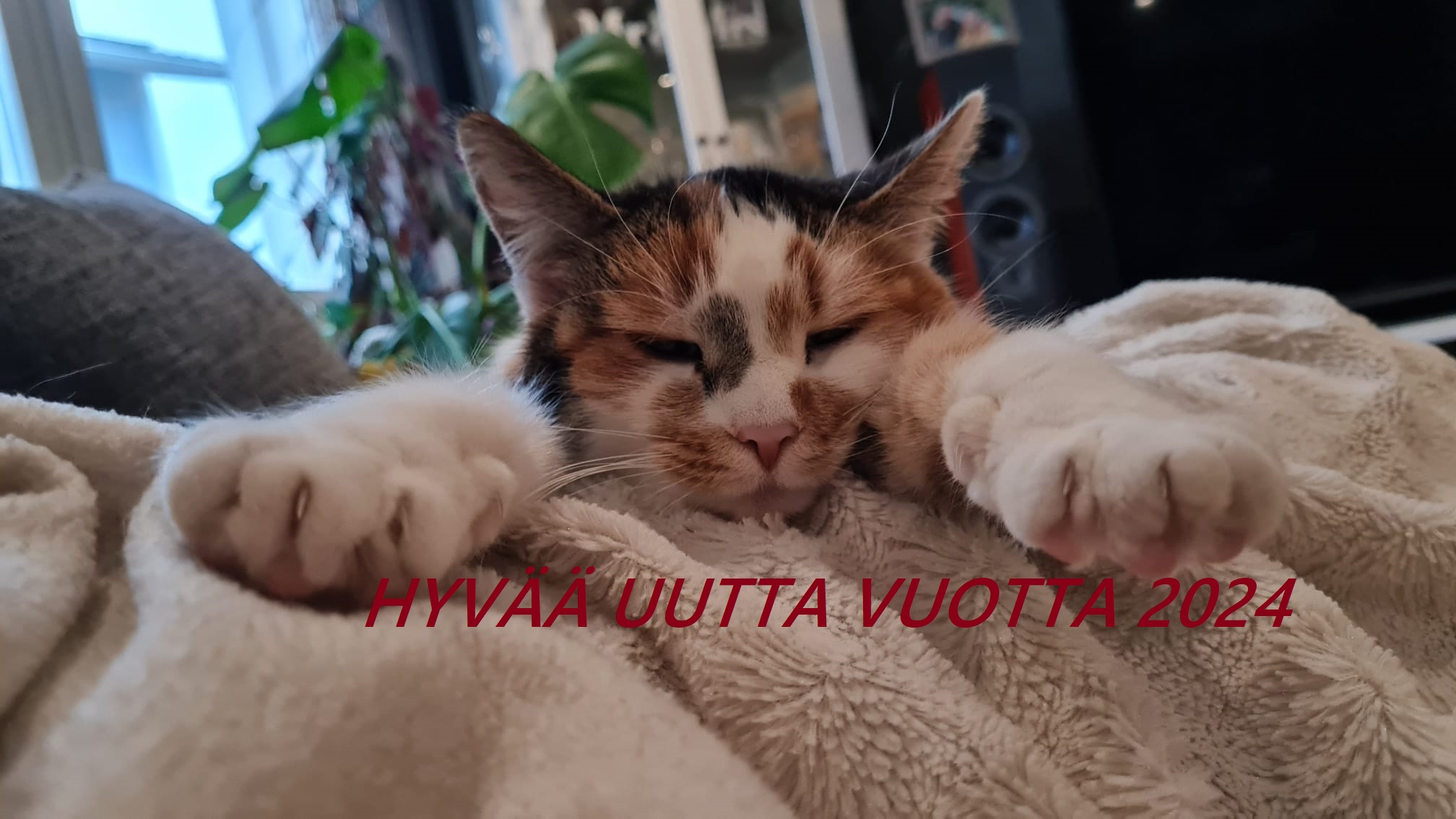 Uusi Vuosi 2024