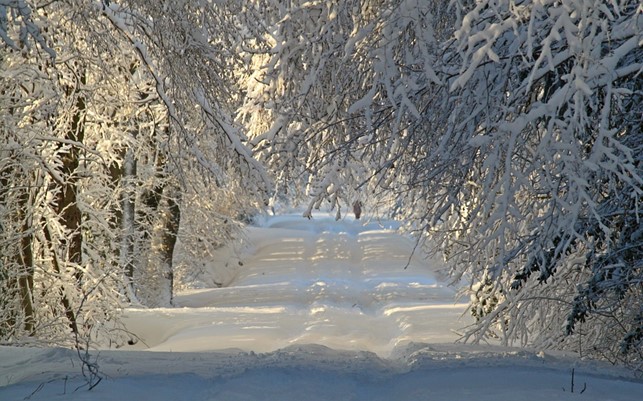 Ulkoilupäivä