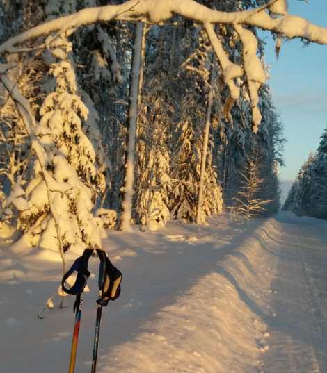Sauvakävely 19.01