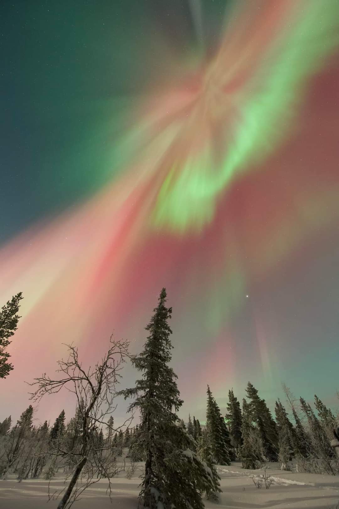 Taivaan väriloistoa