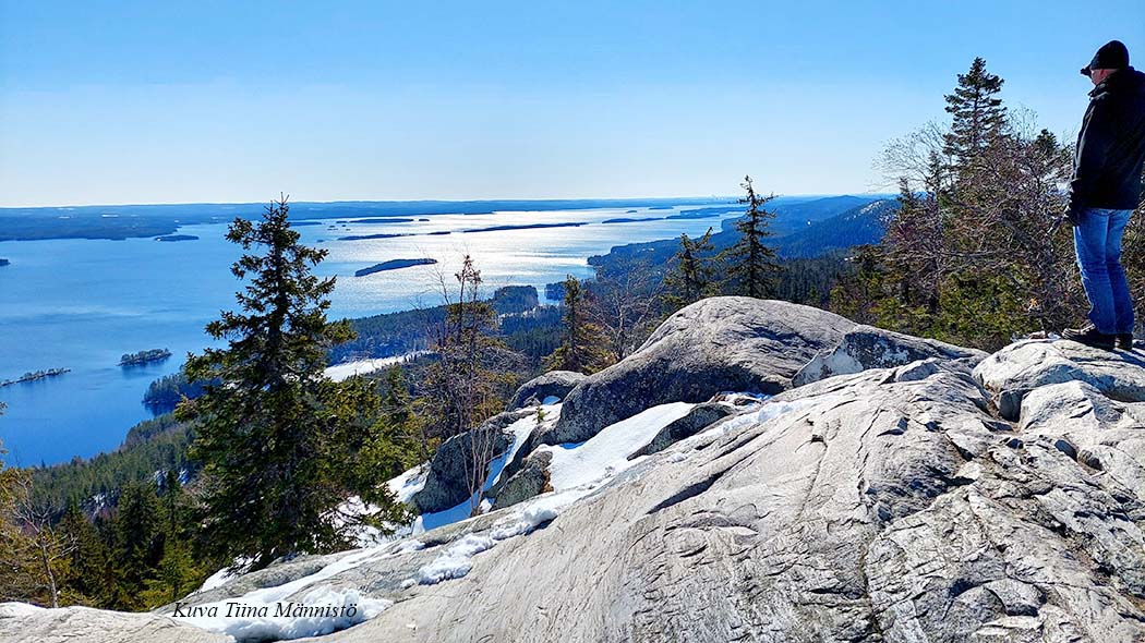Koli 2024 El Kalvola