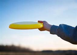 Frisbee