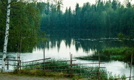 Tirva