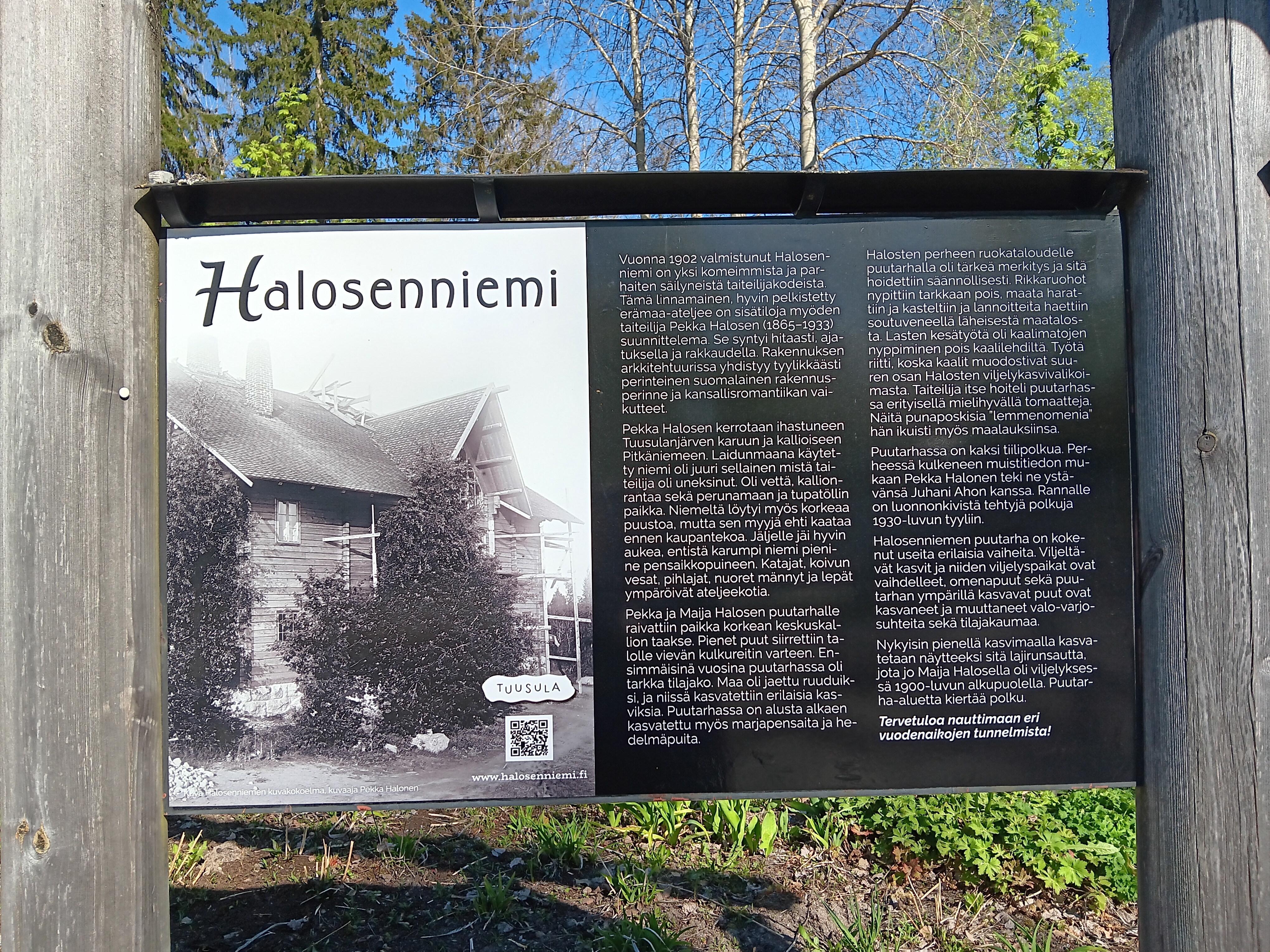 Halosenniemi