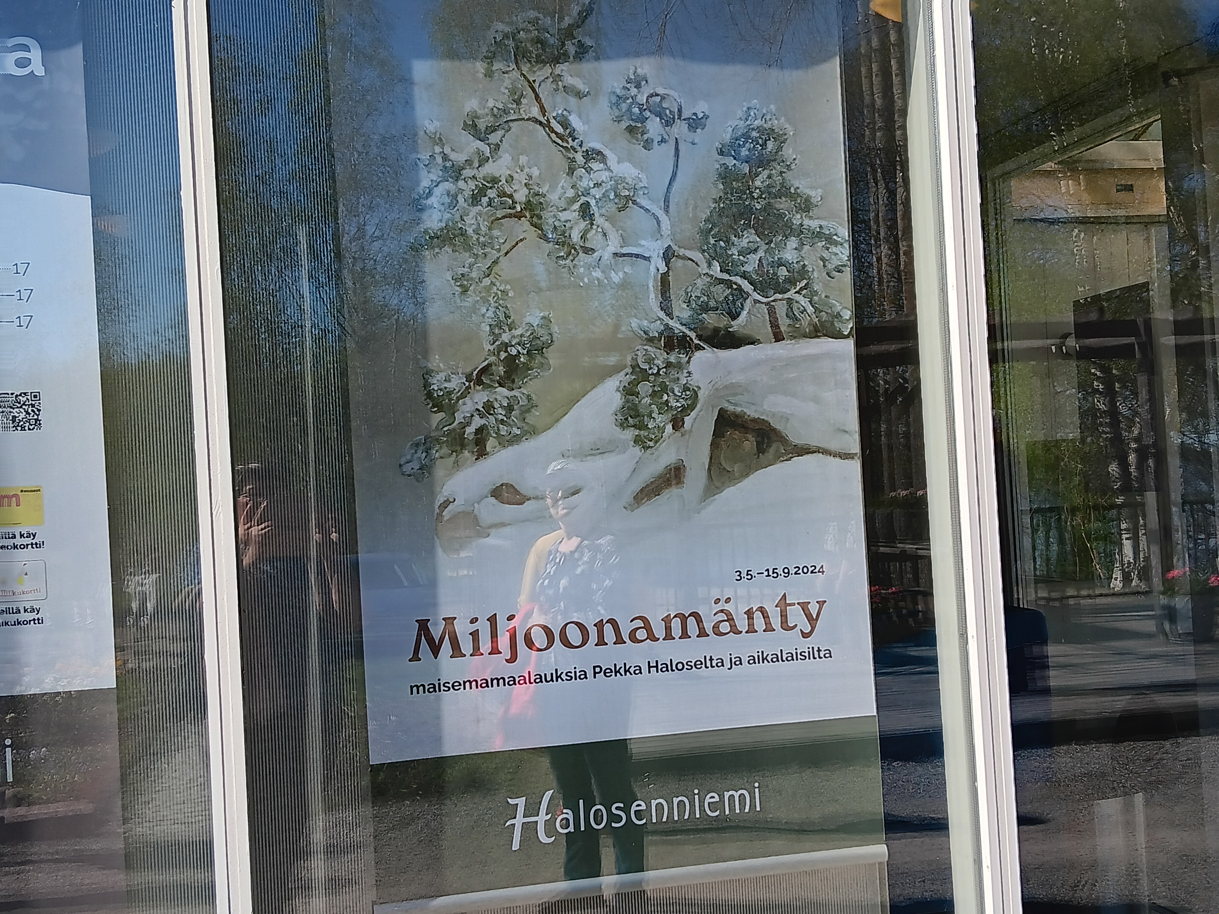 'Miljoonamänty'