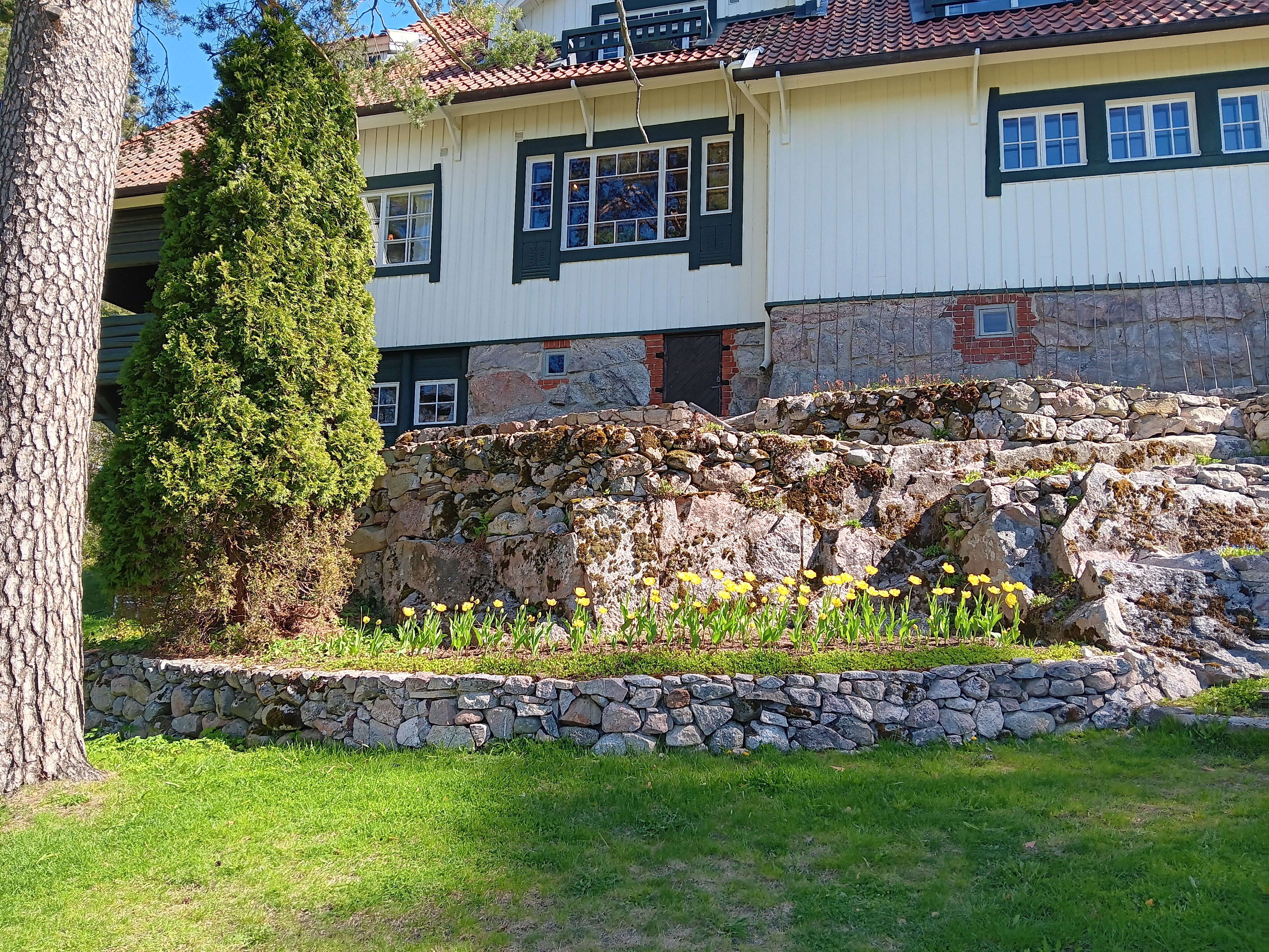 Sibeliuksen Ainola