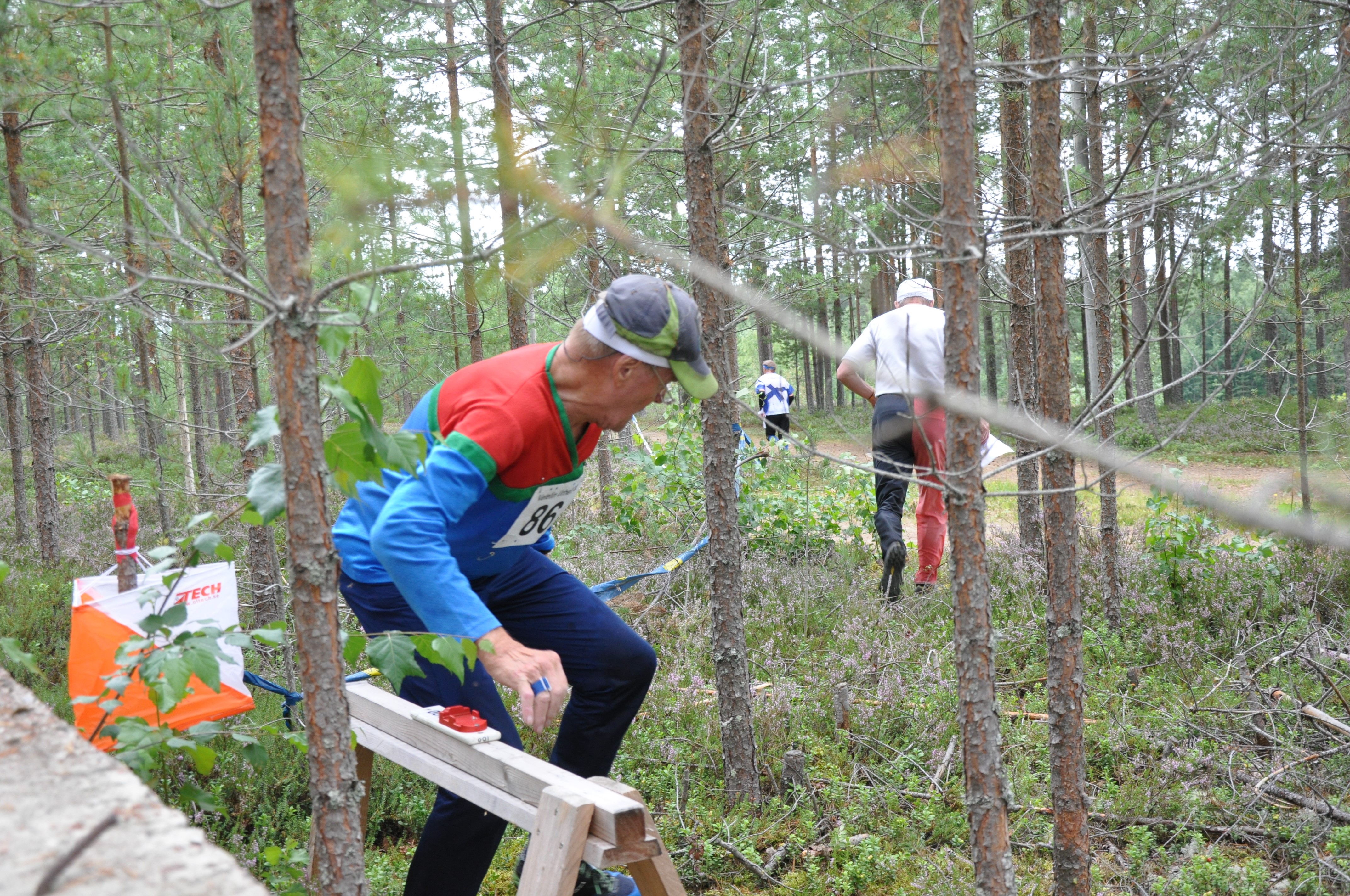 suunnistajia metsässä