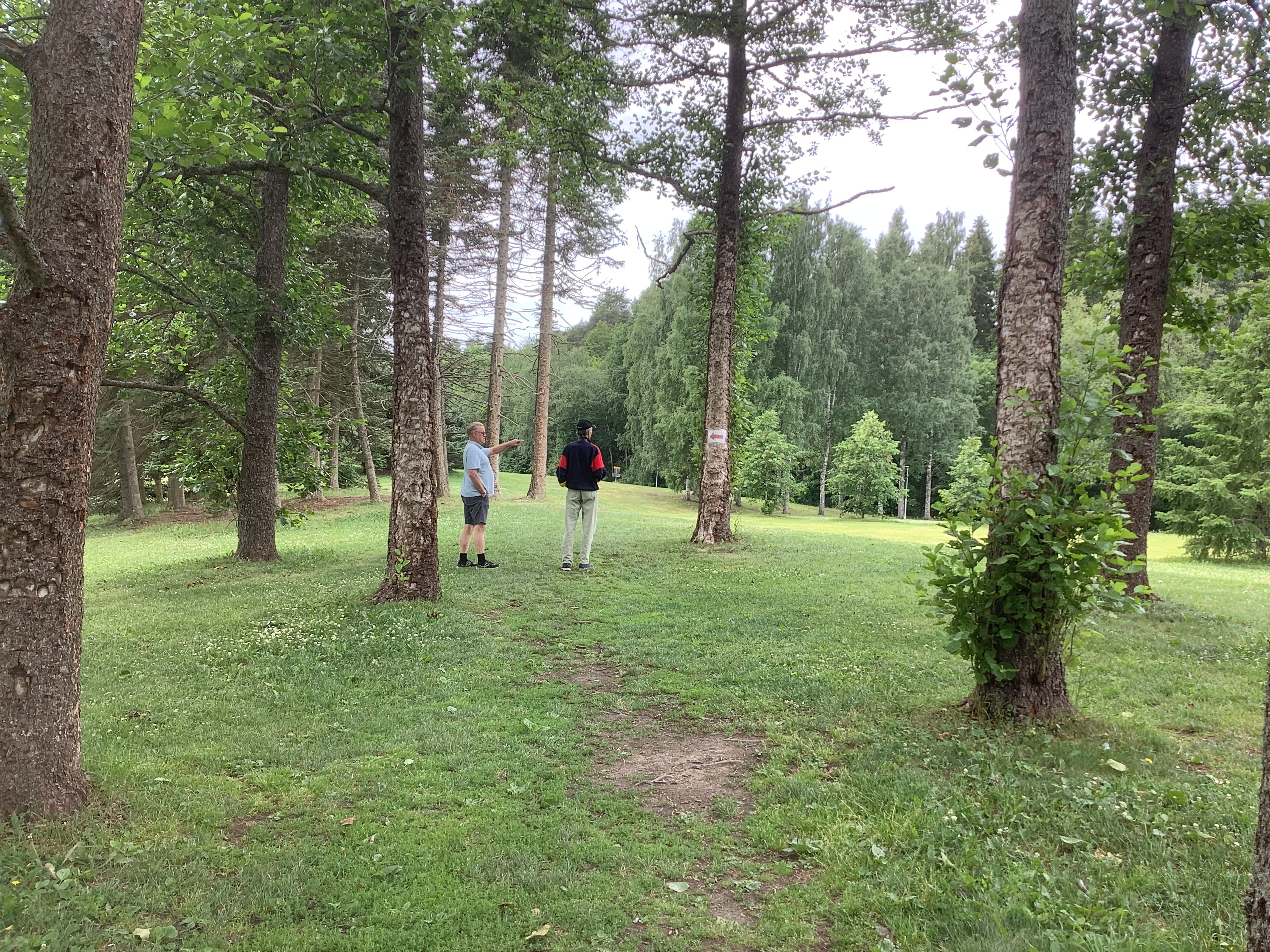 Frisbeegolf kenttä, Epilä