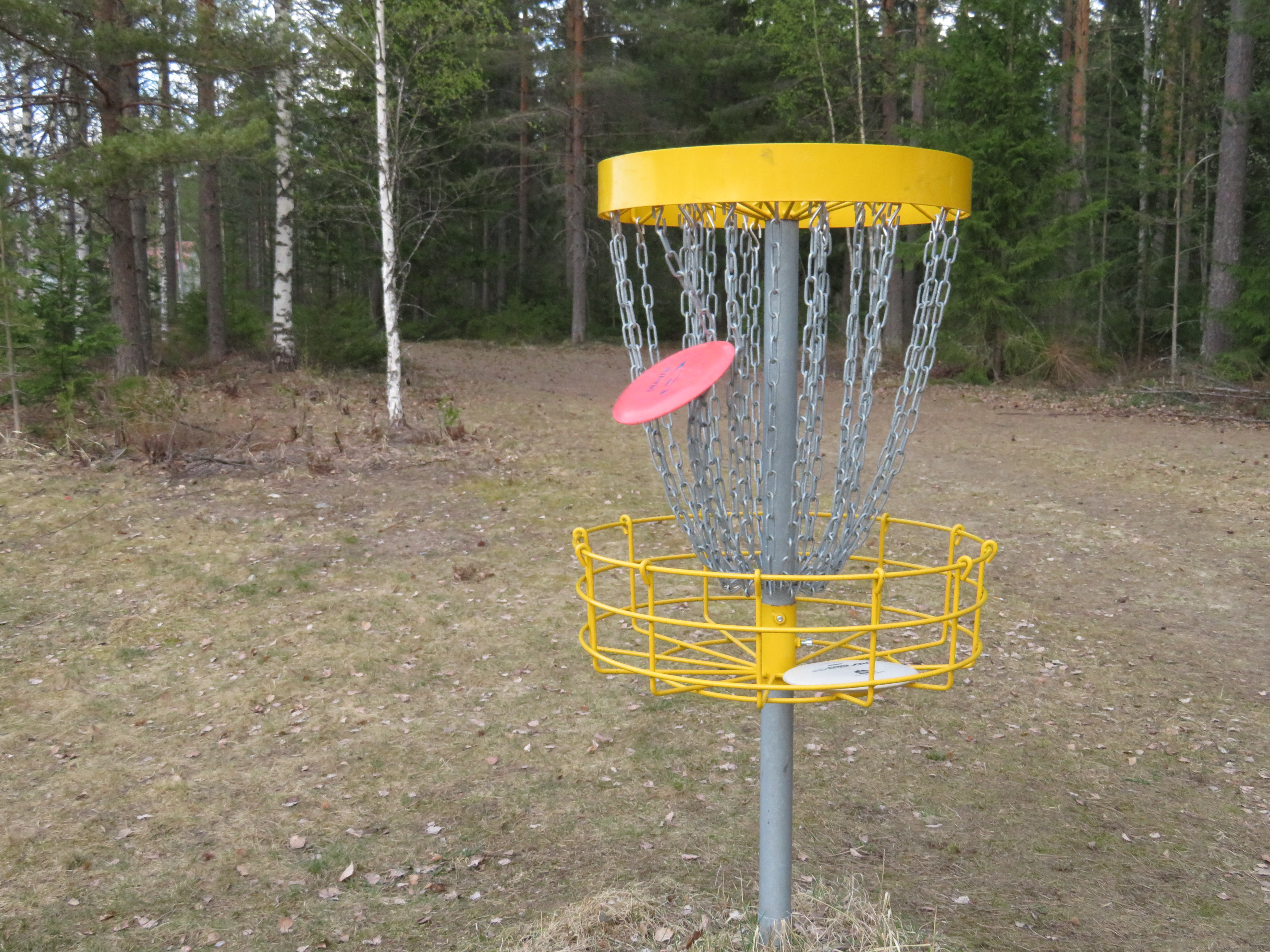 somero_frisbee