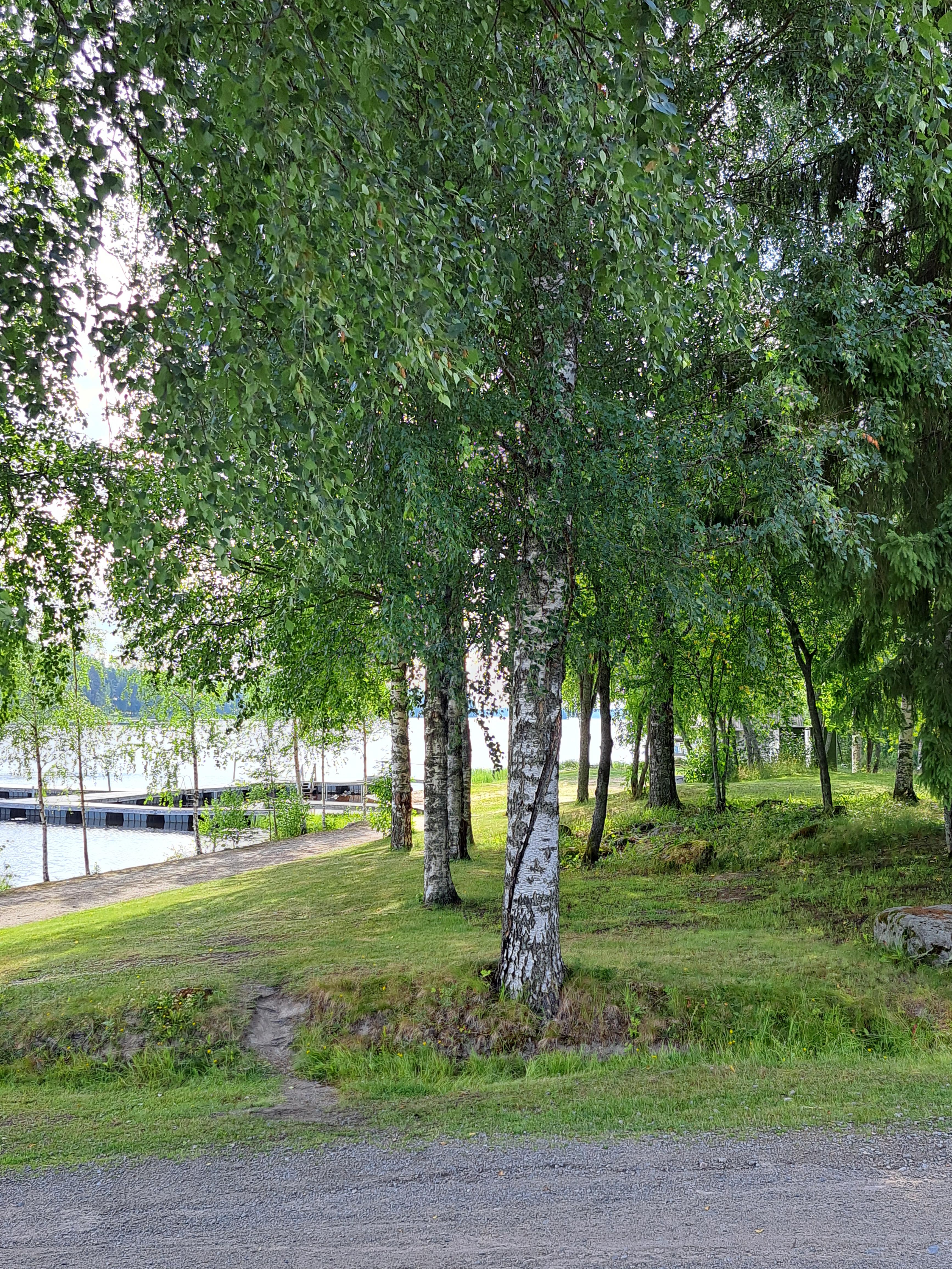 Rantakalakeitto Vesannolla